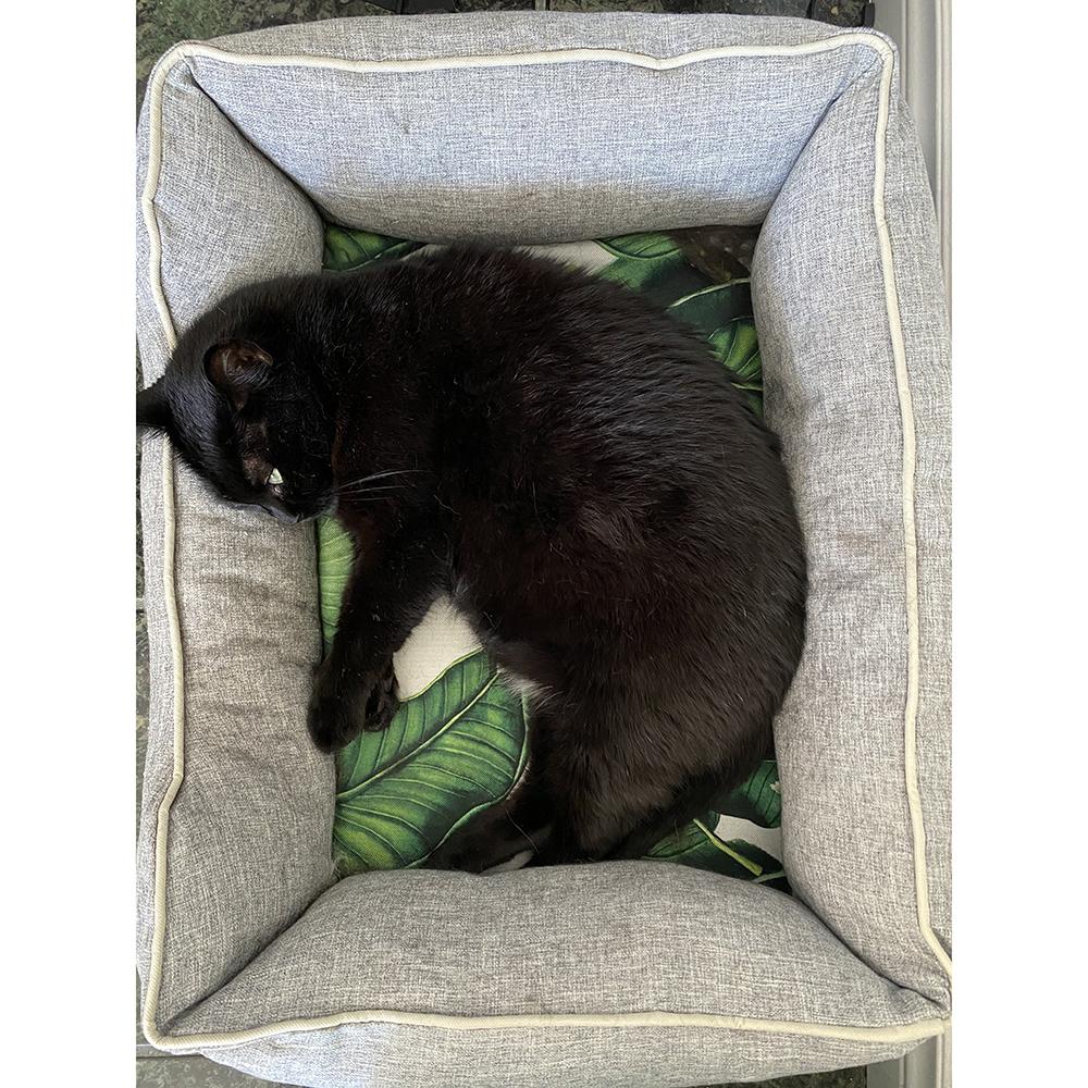 Instachew PETKIT Reversible Cooling and Warming Pet Bed - Image 9